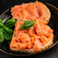 sandwich salmon smoked fish open sandwich delicious fresh portion size natural product tasty snack fresh delicious gourmet food background on the table rustic top view copy space pescetarian diet