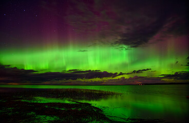 Vibrant aurora borealis in green and purple hues illuminating the night sky over a calm lake with reflections and clouds.