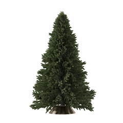 Christmas tree without decorations on an isolated transparent background.