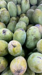 Green Mangoes with Blemishes and Natural Texture in Close-up