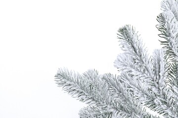 Branch of artificial fir tree with snow on white background, space for text. Christmas decor © New Africa