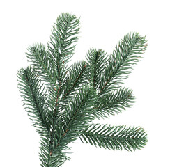 Branch of artificial fir tree isolated on white. Christmas decor