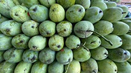 Green Mangoes Piled in Bunches in Market Setting
