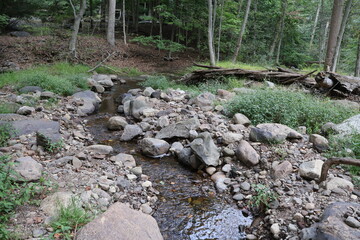 A view of a cascading brook in a green rocky forest.