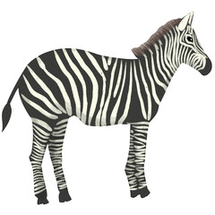 Handdrawn Four Legged Animals Zebra Illustration