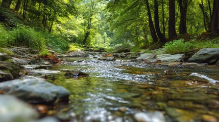 Obraz premium Rocky stream flowing through a lush green forest. Serene nature scene with a clear mountain river. Beautiful woodland environment for travel brochure.