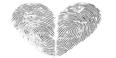 Black fingerprint vector illustration on white for security and identification of a unique pattern