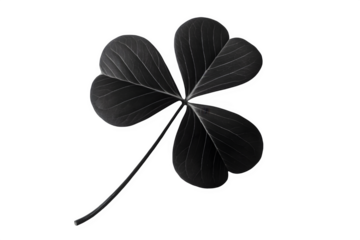 Close up of a single dark clover leaf isolated on transparent background