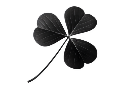 Close up of a single dark clover leaf isolated on transparent background