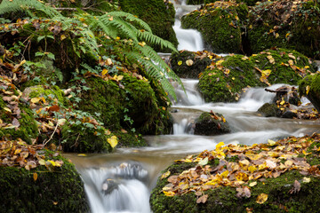 Beautiful Waterfall in Vibrant Autumn Forest