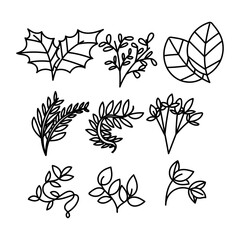 leaf and plant illustration collection set in doodle hand drawn style 