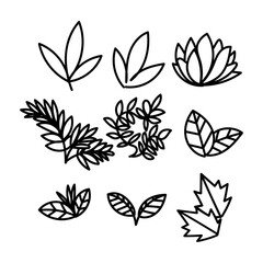 leaf and plant illustration collection set in doodle hand drawn style 