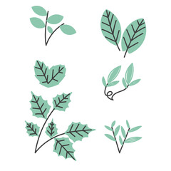 leaf and plant illustration collection set in doodle hand drawn style 