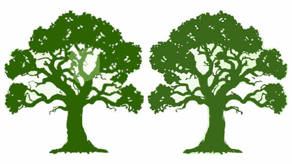 Obraz premium Majestic trees offer natural beauty, perfect for environmental campaigns, botanical illustrations, park designs, and serene landscape visuals with lush foliage