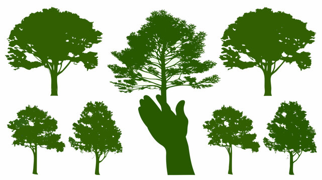 Embrace Nature's Beauty: Hand Gently Touching a Young Tree Amongst a Diverse Forest, Symbolizing Growth, Care, and Environmental Consciousness