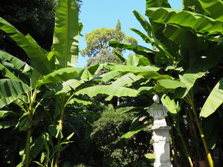 Opatija ist eine kroatische K&uuml;stenstadt an der Adria. Die Stadt war ein angesagter Kurort im 19.&nbsp;Jahrhundert und hat viele Villen der Habsburg-&Auml;ra. 