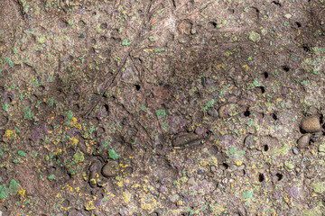 Pebble Aggregate Surface — Rough Stone Texture
