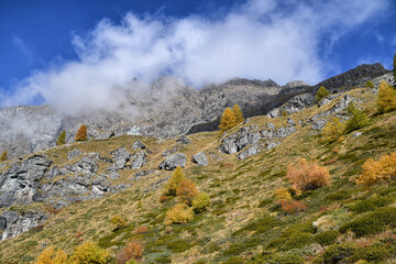 Paesaggio autunnale montano con foreste colorate e alte vette tra le nuvole