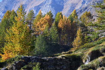 Paesaggio autunnale montano con foreste colorate e alte vette tra le nuvole