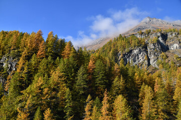 Paesaggio autunnale montano con foreste colorate e alte vette tra le nuvole