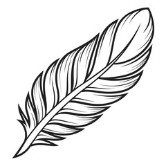 Stylized black and white drawing of a single quill feather