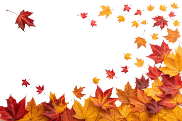 Obraz premium Vibrant autumn maple leaves in red, orange, and yellow are falling gracefully, creating a beautiful seasonal display, isolated on a transparent background.