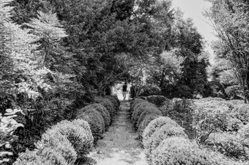 Black and White photo of a path through a garden