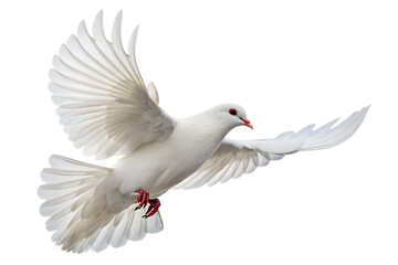 Fototapeta premium A beautiful white dove flies gracefully with wings spread wide, perfectly isolated on a transparent background for versatile design use.