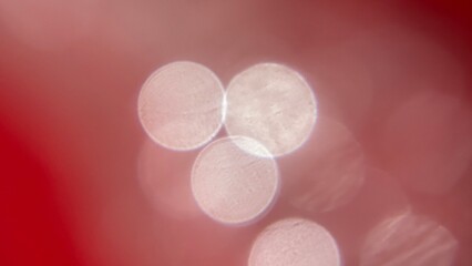Abstract red background with soft white bokeh light circles. The dreamy, out-of-focus glow creates a romantic and festive mood, perfect for Valentine&rsquo;s themes, celebrations, or artistic design project