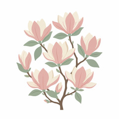 Elegant Magnolia Flowers Blooming on a Branch Illustration