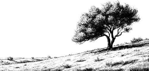 Fototapeta premium Wind-swept tree on hilltop in vintage engraved style for natural landscape design
