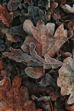 Processed with VSCOcam with c8 preset