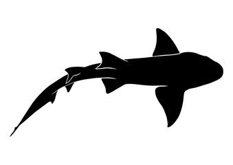 Nurse Shark