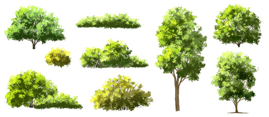 Vertor set of green tree,plants side view for landscape elevations,element for backdrop,eco environment concept design,watercolor greenery scene,shrub