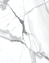 Abstract White Marble Texture With Dark Veins