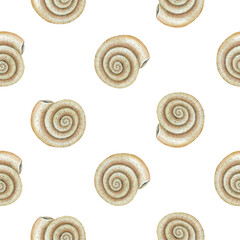 seamless pattern with snail shells