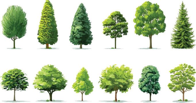 Minimal style cad tree line drawing, Side view, set of graphics trees elements, tree sketches, silhouette tree vector element