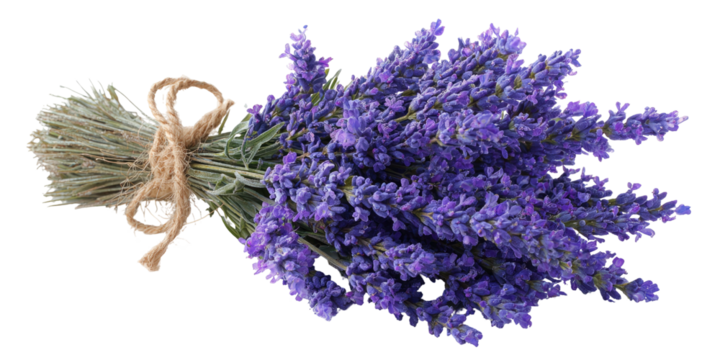 Close-up of a bundle of purple flowers tied with natural twine against a black background