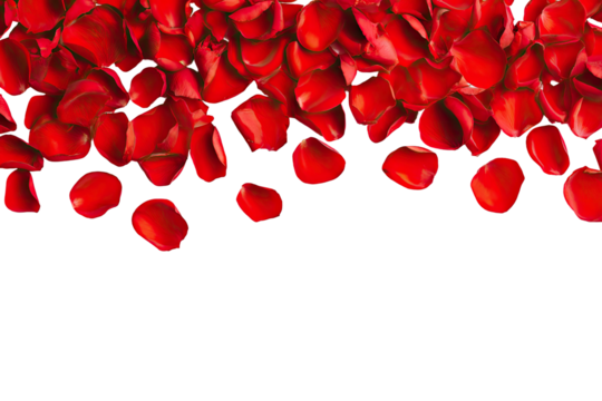 A vibrant cascade of deep red rose petals, arranged against a stark black background