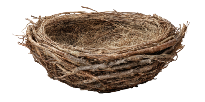 A natural, empty nest, crafted from twigs and fibers, set against a transparent background