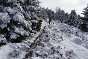 Winterwandern am Schliffkopf, Schwarzwald