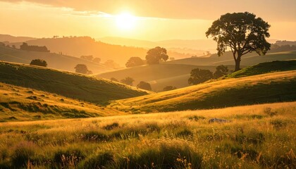 Obraz premium Golden Hour Sunset Over Rolling Tuscan Hills With Silhouetted Trees And Tall Grass In The Foreground Bathed In Warm Light