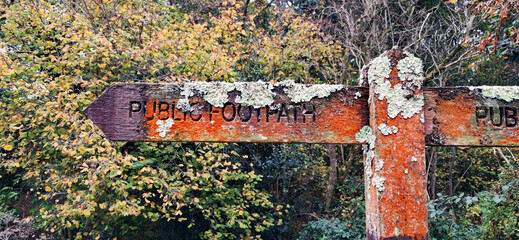 Weathered Public Footpath sign with lichen in autumn woodland.