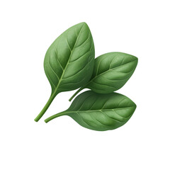 Three Fresh Spinach Leaves. Symbol Of Health And Nutrition Isolated On Transparent Background