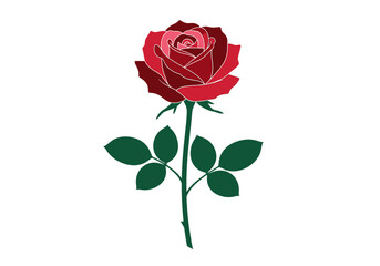 Fototapeta premium A stylized dark red rose with green stem and leaves centrally placed on a white background