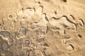 Beautiful sand patterns at the beach of Baltic Sea. Sunny day scenery of Latvia coastline.