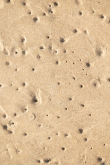 Beautiful sand patterns at the beach of Baltic Sea. Sunny day scenery of Latvia coastline.