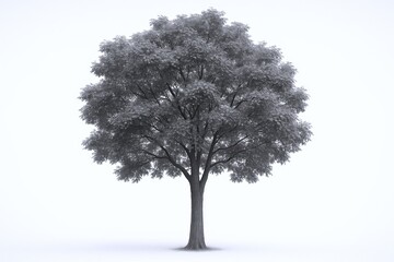 Obraz premium Monochrome Tree with Full Canopy: Detailed 3D Render for Architectural Visualization and Design Projects