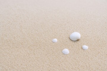 Minimalist Seashells on Sandy Beach: Coastal Still Life for Relaxation and Summer Vacation Imagery