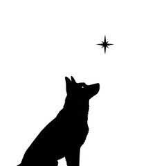 Silhouette of a dog looking up at a bright star.